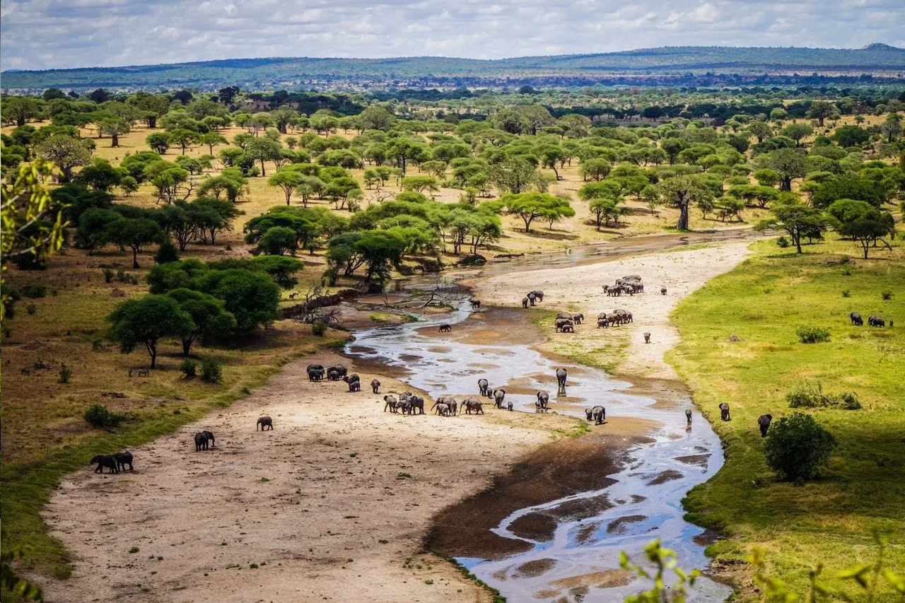 Tarangire.webp