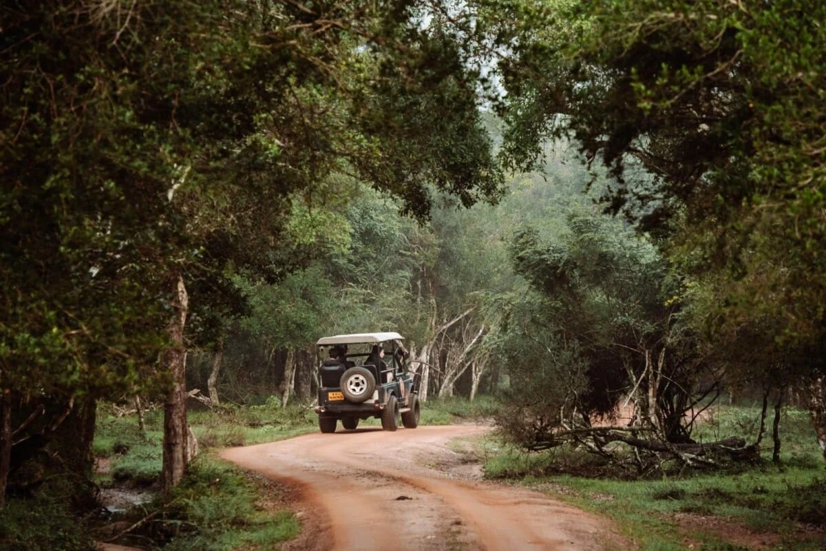 Wilpattu-National-Park-hele-of-halve-dag-safari.jpg