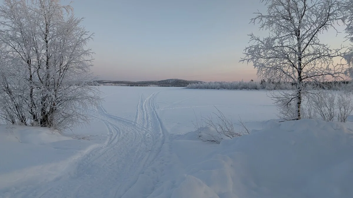 PXL_20260110_104940539.jpg