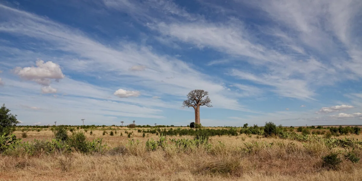 Madagascar-506-1.jpg