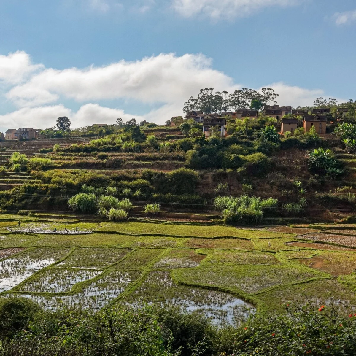 Madagascar-571-EDIT.jpg
