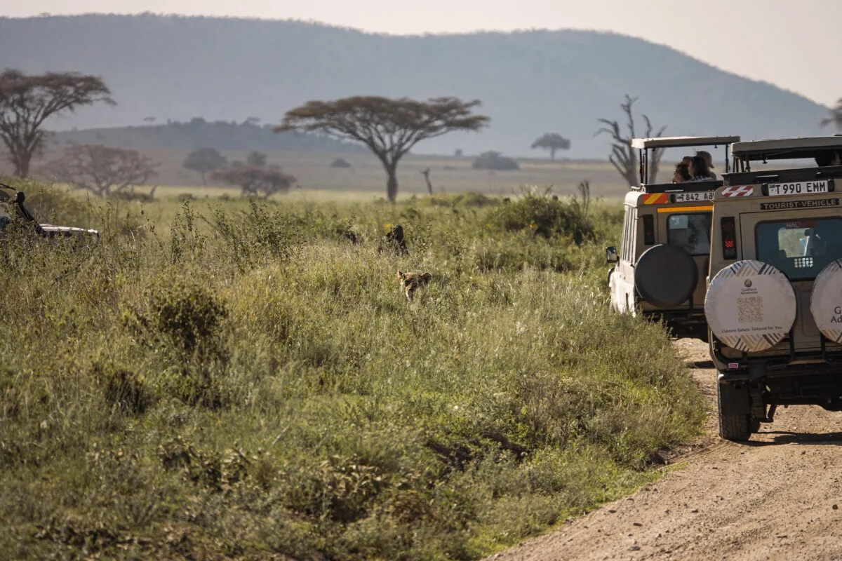 Tanzanie-540.jpg