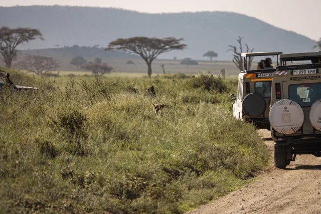 Tanzanie-540.jpg
