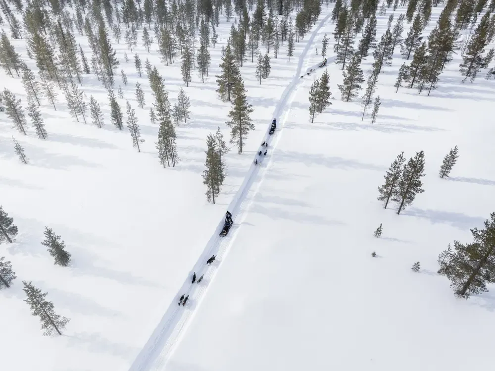 WildernesHotelMuotka_Husky_Tour_10-1.webp