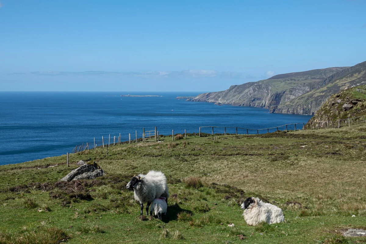 Irlande-443.jpg