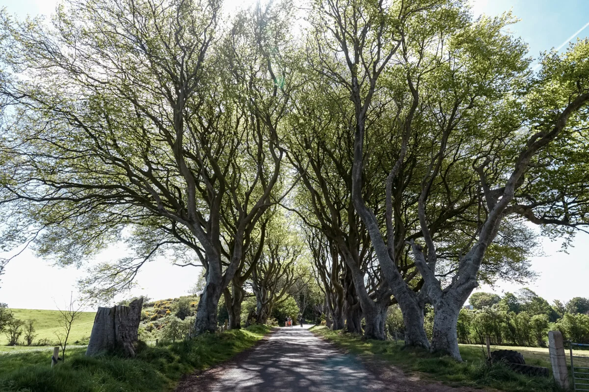 Irlande-623.jpg