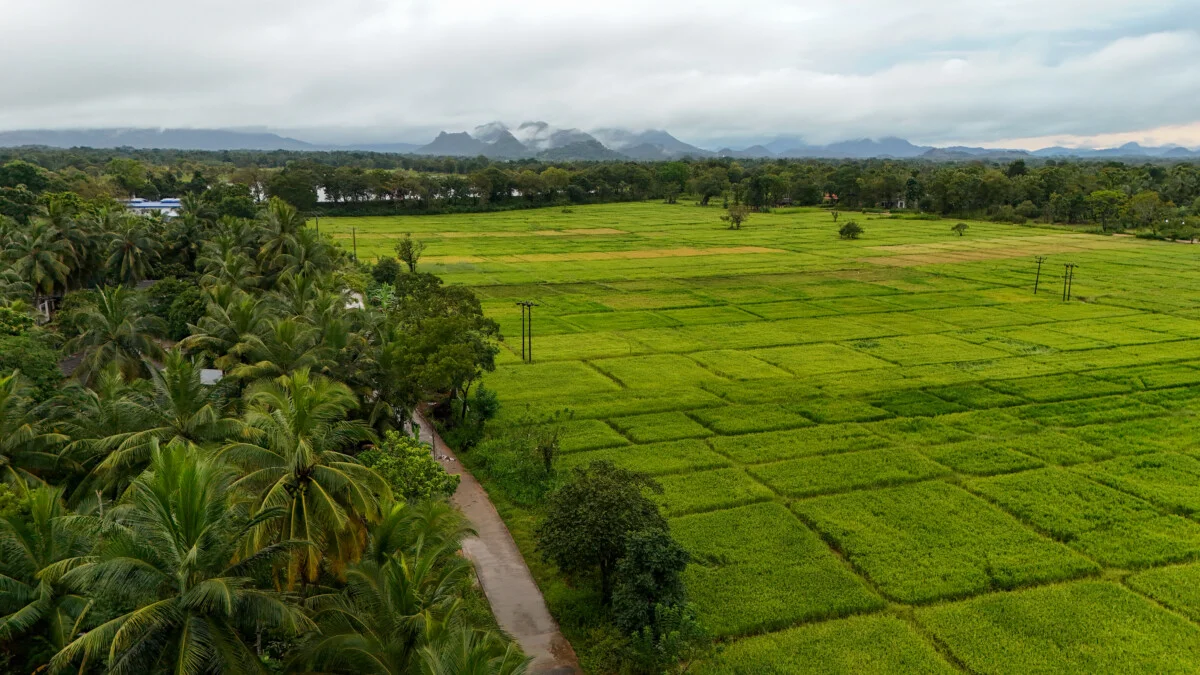 Sri-Lanka-290.jpg