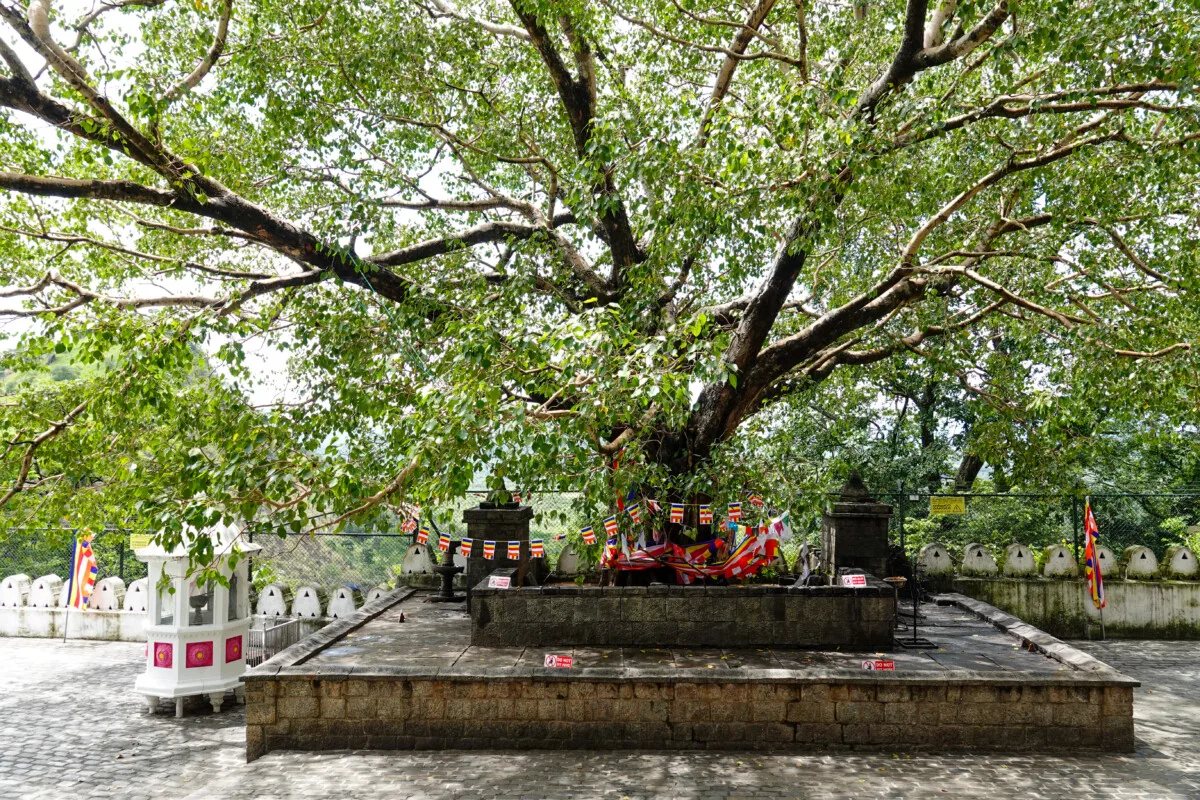 Sri-Lanka-87.jpg