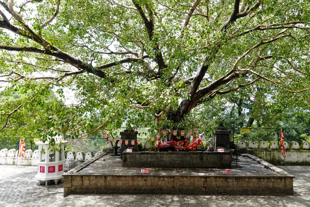 Sri-Lanka-87.jpg