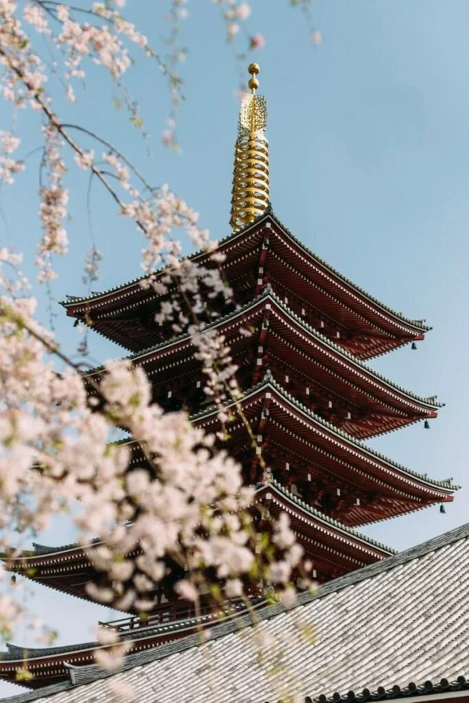 destinations/japon.webp