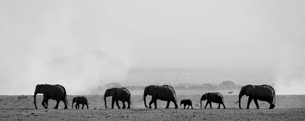 destinations/kenya.webp