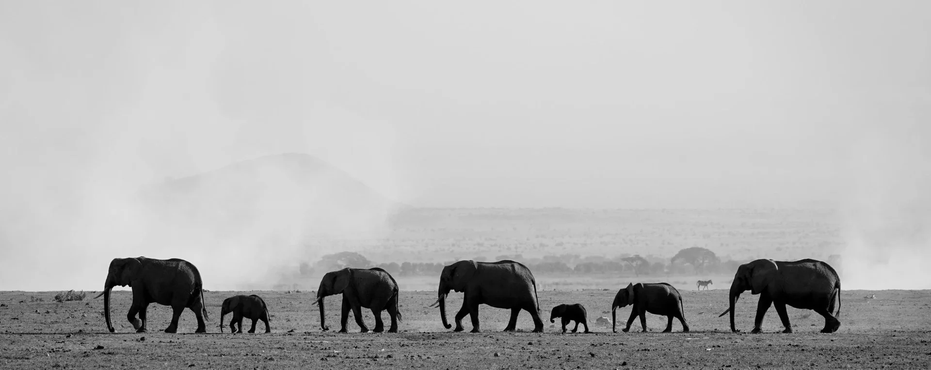 destinations/kenya.webp
